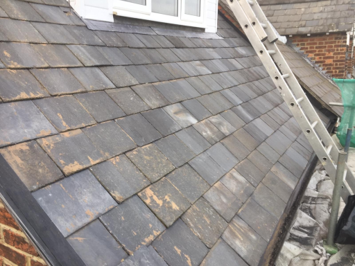 Roofer Aylesbury 51 Medium